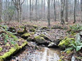 0 Eanes Rd, Check, VA 24072