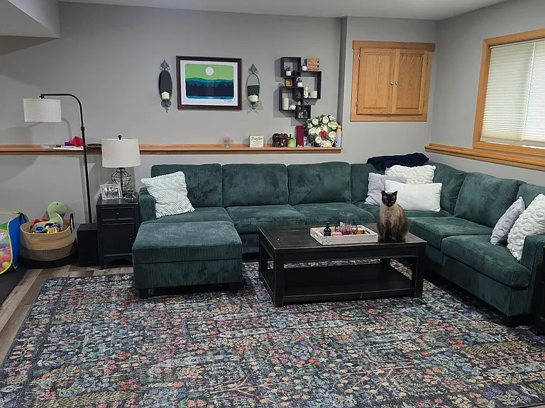 Basement living room