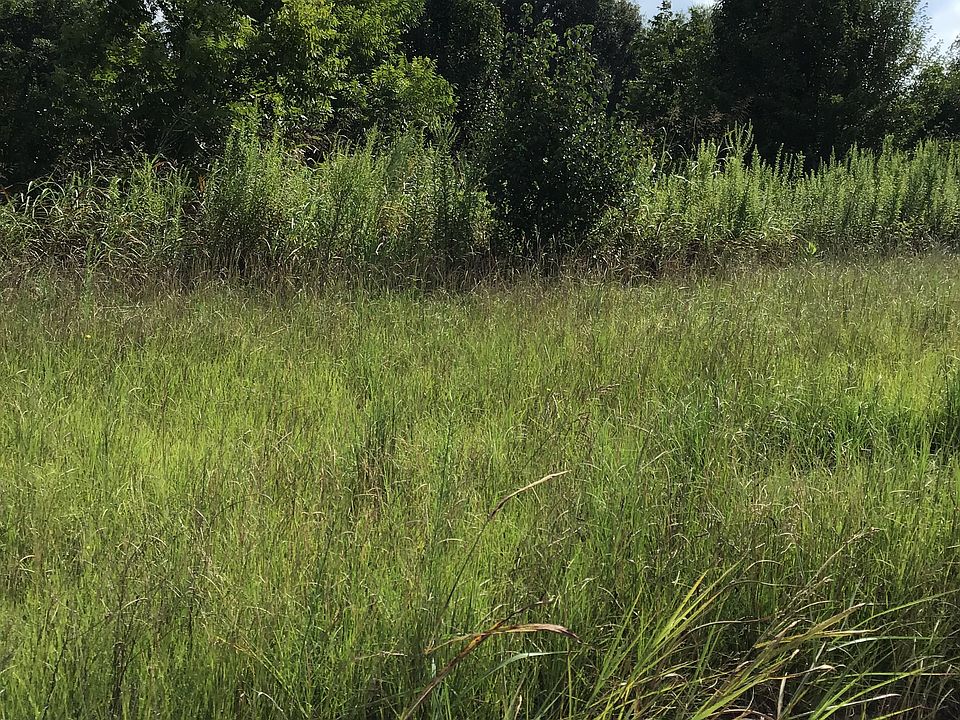 1st image of 401 Savannah Dr