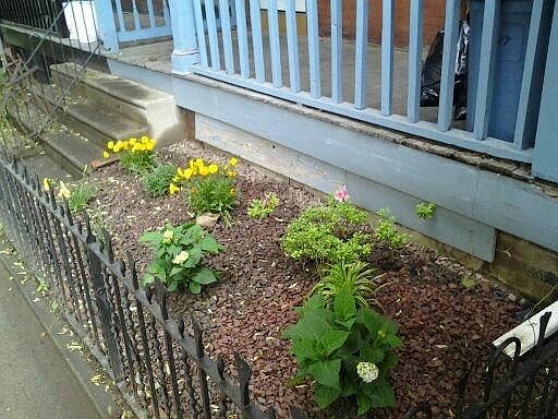 Front yard and porch