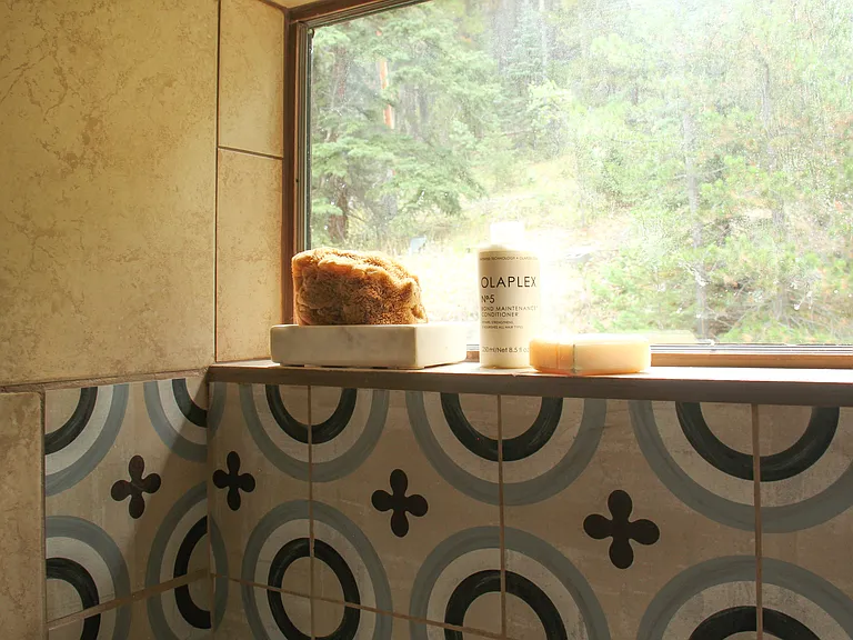 Forested views from the shower