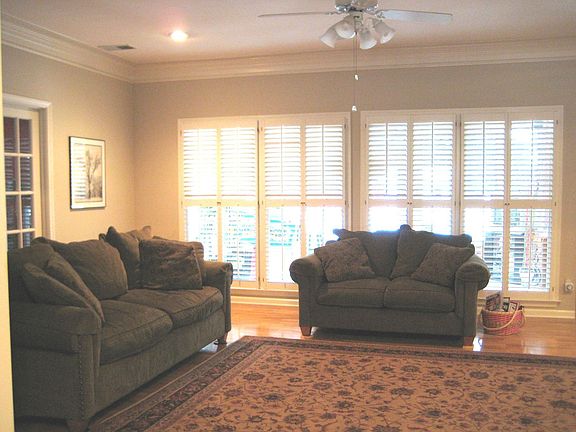 Wall of Windows in Pretty Living Room