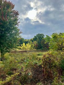 3668 Albion Rd, Concord, MI, 49237