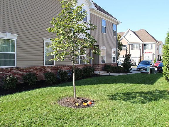 Front Door Side Lawn