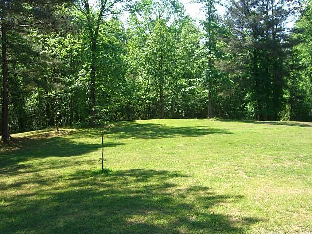 The yeard your whole family will love... great for entertaining.