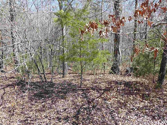 3rd image of 0 Shenandoah Dr Lot 21