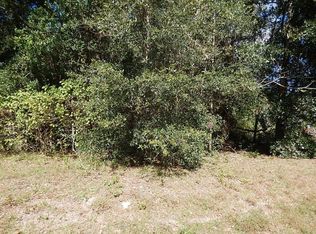 0 SE 124th St, Belleview, FL 34420