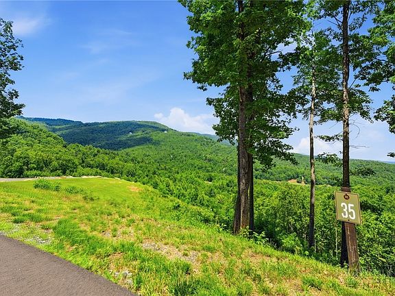 3rd image of Lot 35 Wildcat Wilderness Parkway