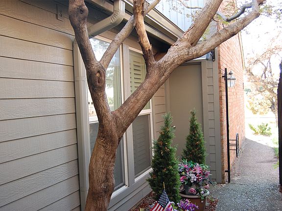 5th image of 708 Carriage Way