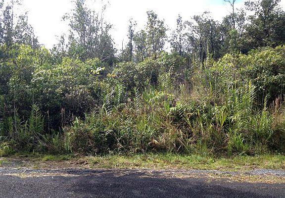 4th image of Lehua St Lot 7217