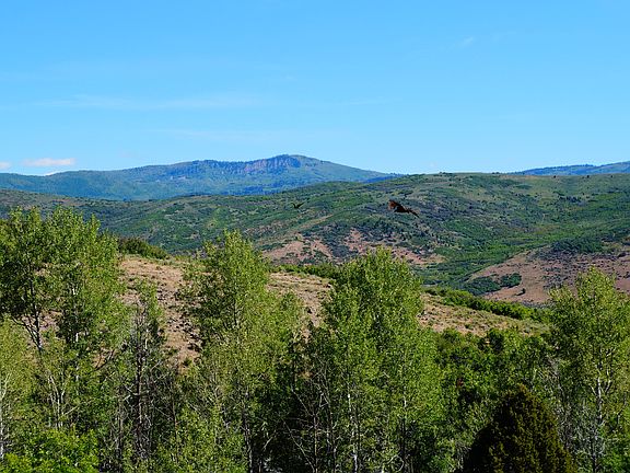 5th image of 4482 S Aspen Hollow Road