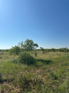TRACT 12 County Road 152, Abilene, TX, 79601