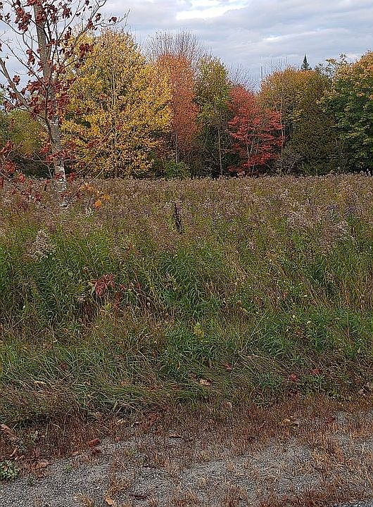 2nd image of Howe Rd