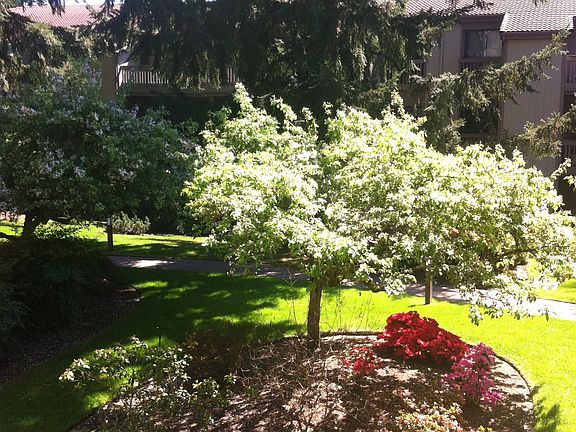 3rd image of 13730 15th Ave NE #203E
