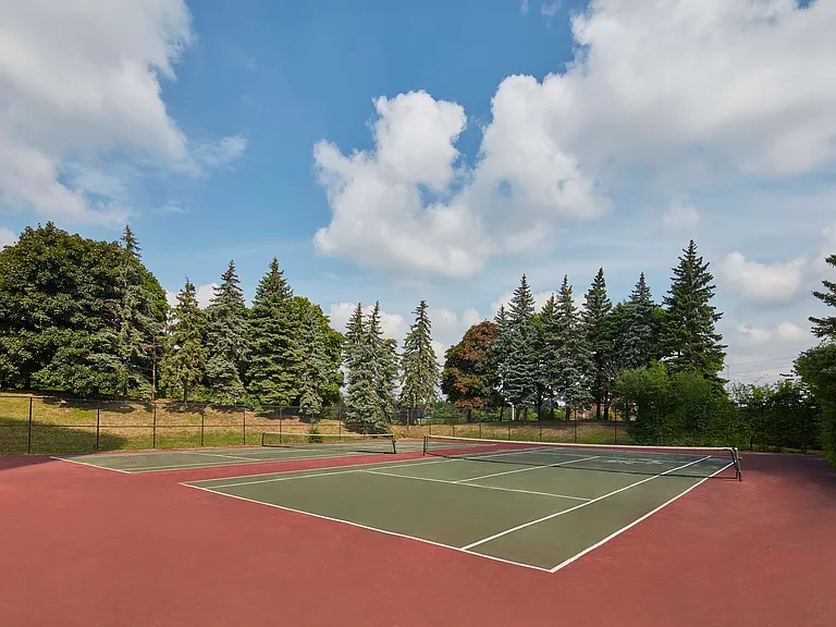8 Silver Maple Ct — Photo 11