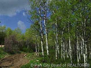2nd image of Forest Meadows Rd #C-83