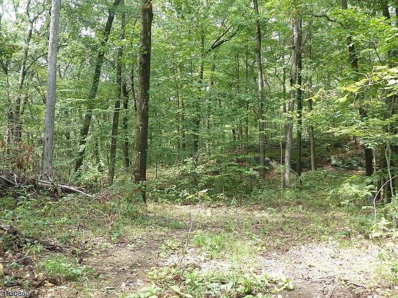 2nd image of 0 Rosemarie Ln