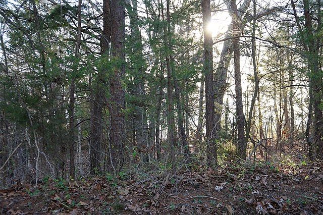 2nd image of Acorn Rd