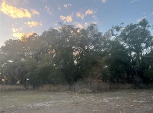 522 Palmetto St LOT 1, Eustis, FL 32726