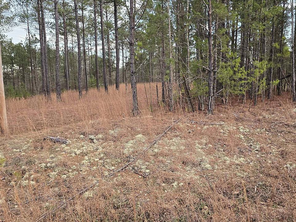 2nd image of 385 County Road 886 #20
