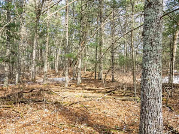 Lot 39 S Badger Lane #39, Arkdale, WI 54613