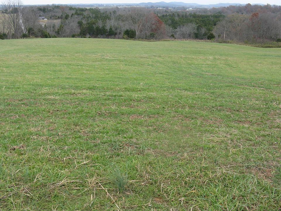 2nd image of 40 Will Chancellor Rd