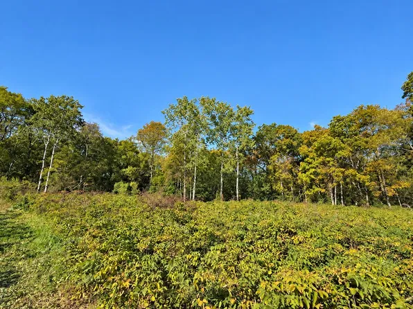 LOT 1 Csm 12361, Black Earth, WI 53515