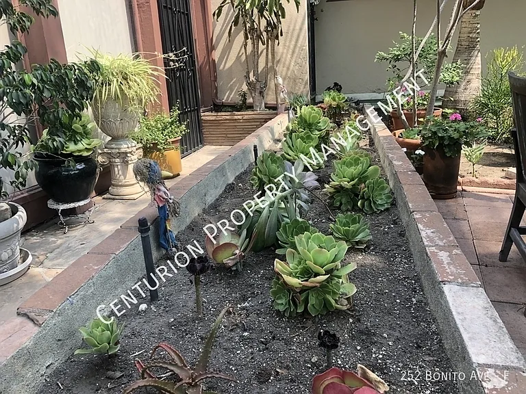 252 Bonito Ave #F — Photo 9