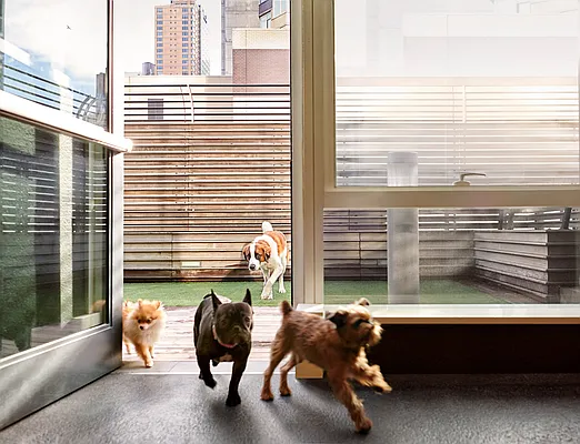 Rented by Corcoran | media 30