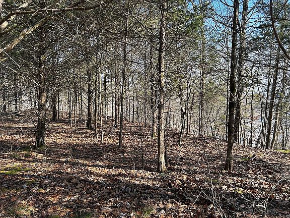 3rd image of Rock Springs Rd