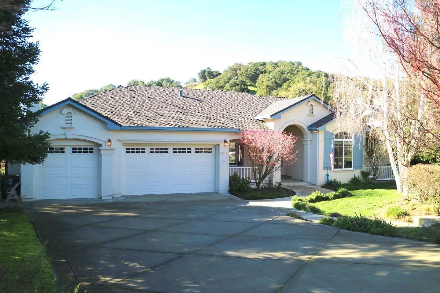 8575 Larkspur Ln photo 1