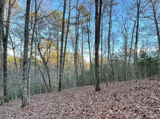 511 Modal Ln, Ellijay, GA 30540