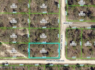 15075 Snowy Owl Rd, Weeki Wachee, FL 34614