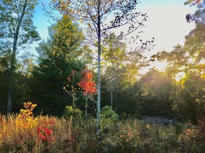 12 Ridge Trl, Blue Ridge, GA, 30513