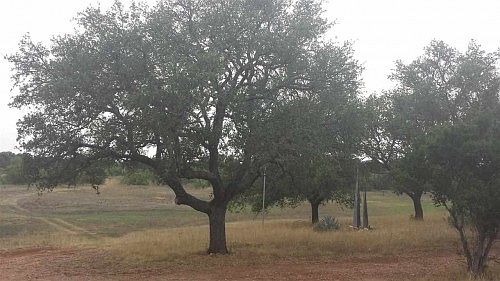 1st image of 373 County Road 117