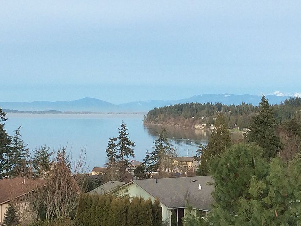 View from deck