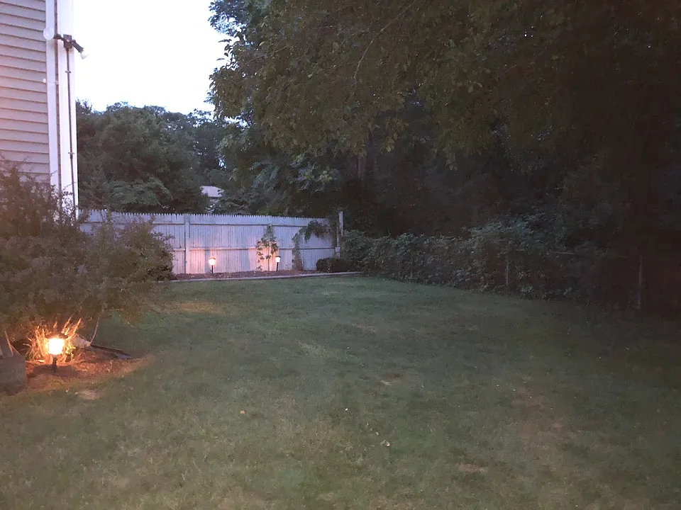 54 Orlando St