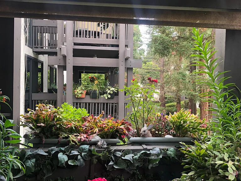 View from the balcony