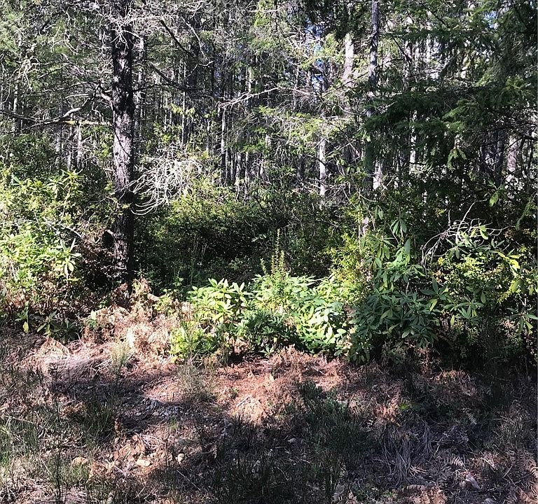 310 NE Tahuya Blvd, Tahuya, WA 98588 Zillow