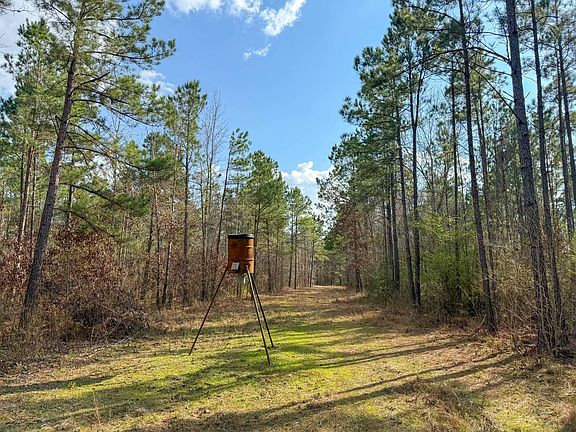 3rd image of County Road 328