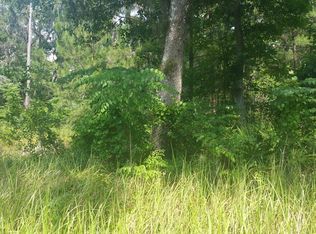 0 SE 64 Court Ct, Summerfield, FL 34491