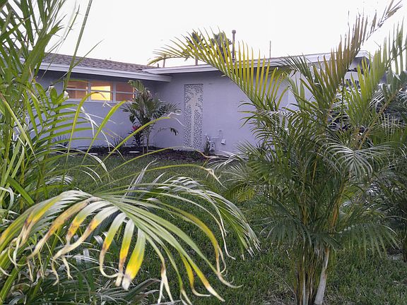 Tropical landscaping