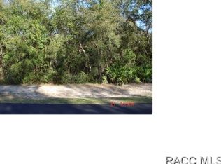 10441 N Natchez Loop, Dunnellon, FL 34434