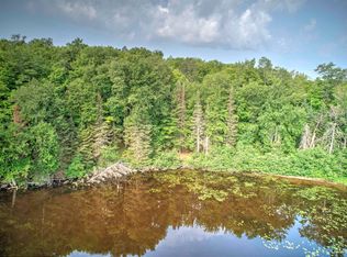 LOT 1 Petticoat Lake Rd, Michigamme, MI 49861
