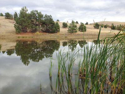 83 Clark Rd, Lyle, WA, 98635