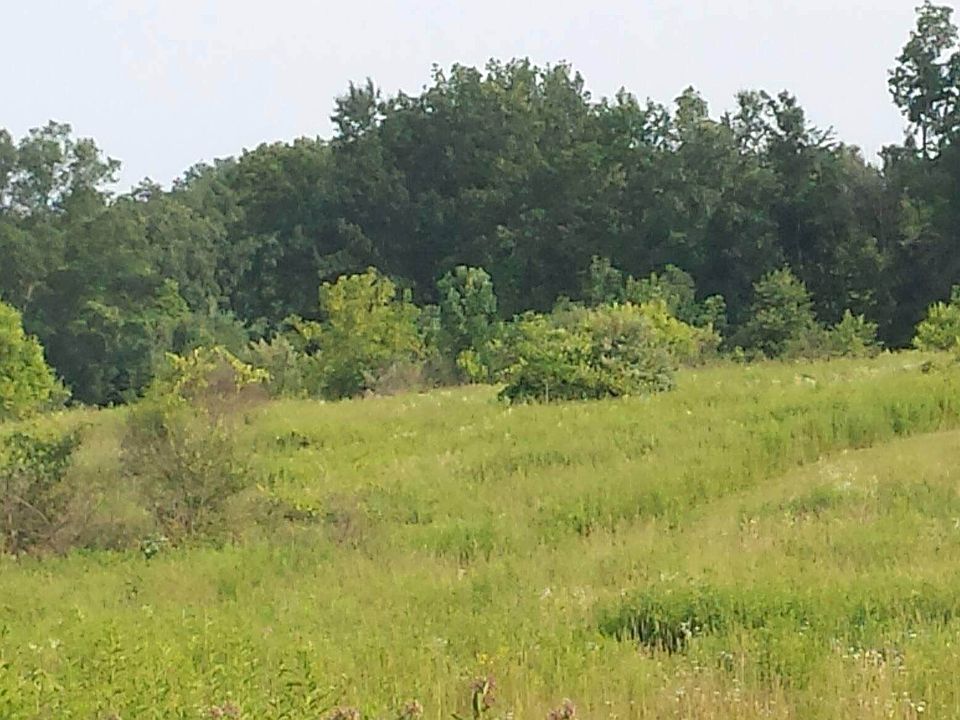 2nd image of Parcel E-2 Rohn Road