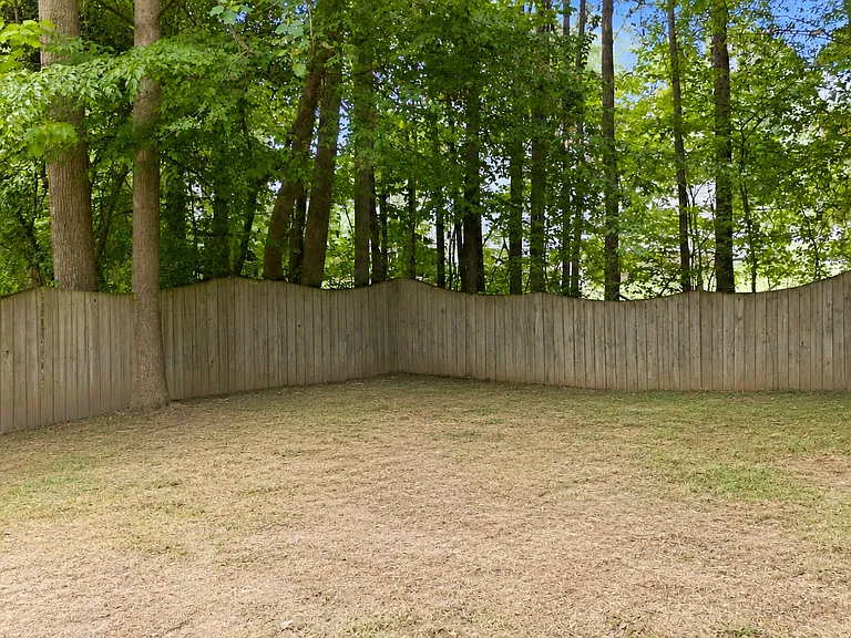 221 Black Forest Dr — Photo 48