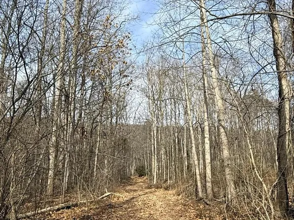 Corner Of Poplar Ridge Lane & Mountain Rd, Dauphin, PA 17018