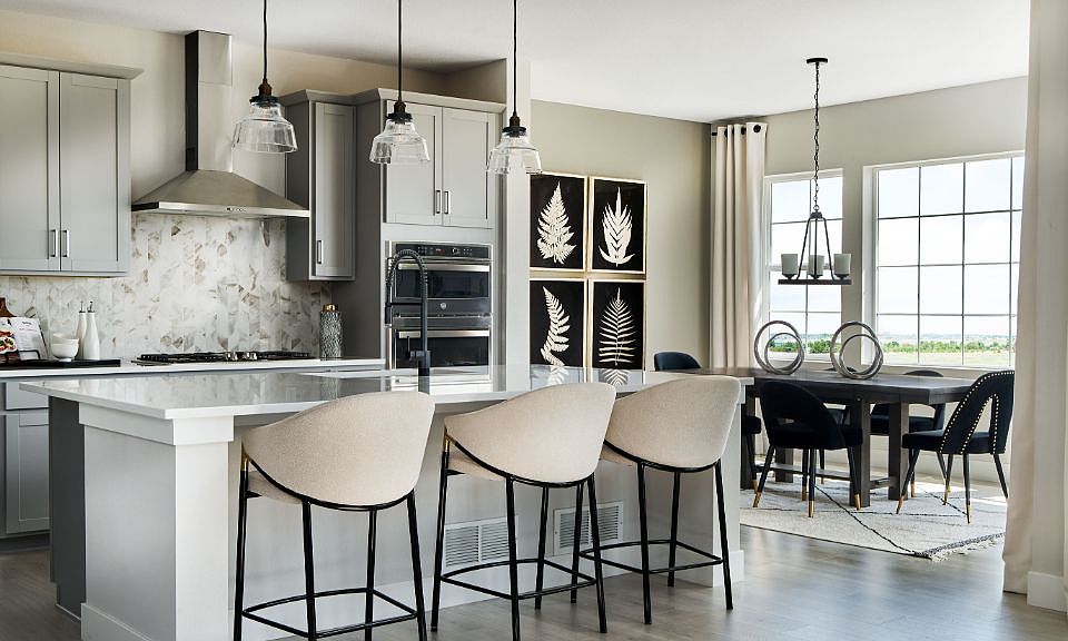 Ridgway Plan, The Aurora Highlands Town Collection, Aurora, CO 80019