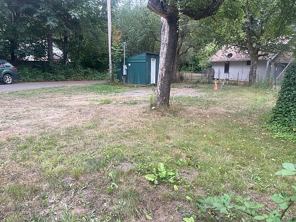 Several fruit trees/bushes on the RV lot